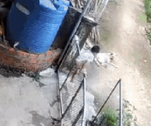 Búp măng non vượt ngàn chông gai để trốn nhà đi chơi, xem lại camera, mẹ bé muốn cạn lời khi thấy con ôm 'bạn tri kỷ' ngủ giữa đường!