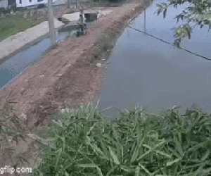 3 thiếu niên bị điện giật bên bờ kênh: Tiếng la hét khiến cả xóm kinh sợ, lao ra ngoài