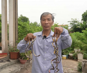 Ảnh bìa bài viết 991241