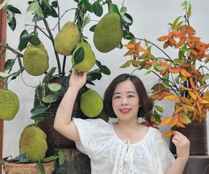 Quả mít, cành roi, chùm vải 'lên bình' đẹp lạ, gây sốt mạng