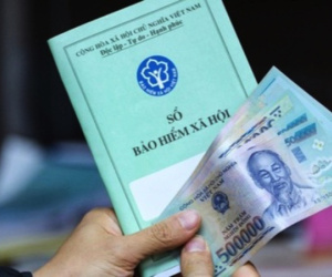 Chủ hộ kinh doanh sẽ đóng BHXH bắt buộc mức cao nhất gần 12 triệu đồng ngay trong tháng sau