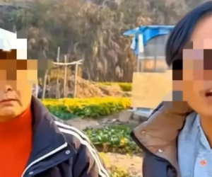 Trộm rau nấu ăn khiến cháu nhập viện, bà lão đòi chủ vườn 36 triệu đồng