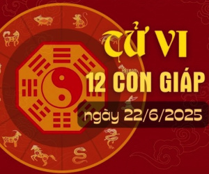 Tử vi Chủ nhật ngày 22/6/2025 của 12 con giáp: Dần nhiều lộc, Mùi phát cáu