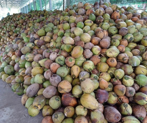 Ảnh bìa bài viết 992467