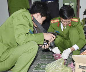 Ảnh minh họa