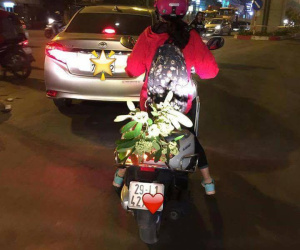 Thiếu nữ dũng cảm nhất miền Bắc đây rồi: Bẻ cành hoa sữa mang về để cho thơm nhà