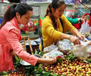 Tổng thu cả tháng 6 triệu, mẹ trẻ nhịn miệng nuôi 2 con bằng bỉm sữa xịn còn bị chê hoang phí
