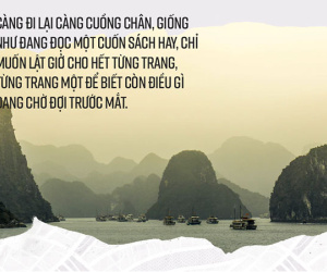 1 năm đi làm, kiểu gì cũng phải tiết kiệm được tiền đi nước ngoài 1 lần