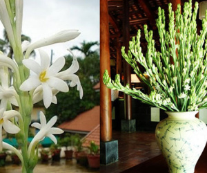 Cúng hoa trên bàn thờ dù là ai cũng nhất định phải biết điều này