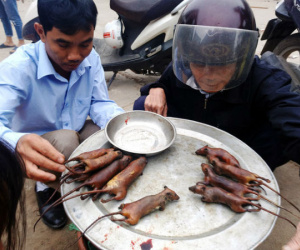 'Đột kích' nơi phụ nữ, trẻ nhỏ thích ăn thịt chuột hơn thịt gà giữa Hà Nội