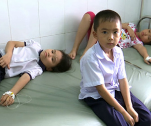 Gần 500 học sinh Hậu Giang nhập viện do uống sữa nhiễm khuẩn