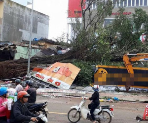 Cây đa cổ thụ bật gốc đè sập nhiều cửa hàng