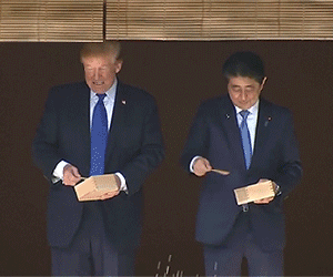 Tổng thống Donald Trump cùng Thủ tướng Shinzo Abe cho cá Koi ăn