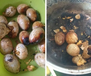 Cười rụng rốn với những pha 'mất não' của hội mẹ bỉm sau sinh: Cá kho hóa cá thui rơm, tương ớt thành tương than