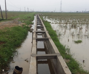 Nghệ An thanh tra dự án thủy lợi 80 tỷ đồng nghi có sai phạm