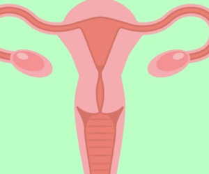 5 sự thật thú vị mọi phụ nữ nên biết về buồng trứng