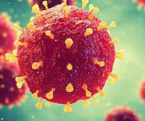 Bùng phát virus giết người "giống Ebola" tại châu Phi, hiện chưa có thuốc chữa