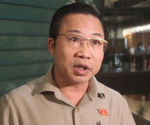 ĐBQH nói bố đẻ bé trai bị hành hạ 'không có chút tình người'