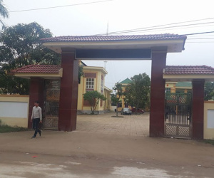 Ảnh minh họa