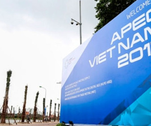 Việt Nam xuất khẩu những gì sang các nền kinh tế APEC?