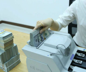 Tiếp tục gia hạn cho vay ngoại tệ, ngân hàng nào hưởng lợi?