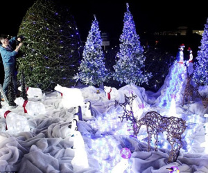 Giới nhà giàu 'vung tiền' thuê trang trí cây thông Noel