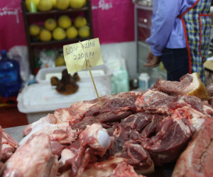 Chưa đủ cơ sở nhận định toàn bộ thịt ở 5 tỉnh phía Nam nhiễm E.coli