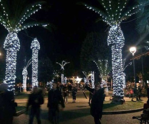 Cây trang trí Giáng sinh giống 'của quý' gây sốt ở Italia