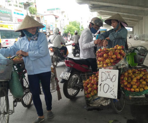 Hà Nội: Có tới 80% trái cây tại các chợ đầu mối không rõ nguồn gốc