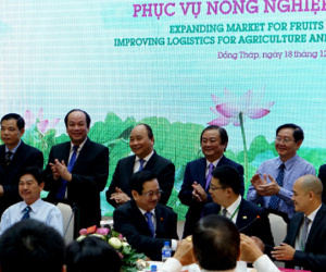 Mỹ, Nhật, Hàn, Trung Quốc tấp nập đặt mua rau củ quả Việt Nam