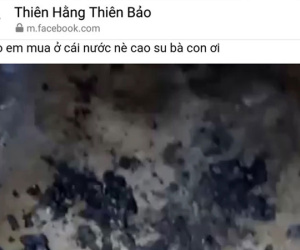 Cà Mau xác minh thực hư về thông tin gạo làm từ cao su