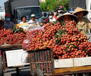 Kỷ lục mới: Rau quả mang về 3,5 tỉ USD cho Việt Nam