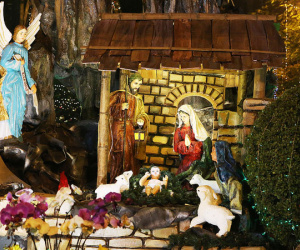 Không khí Noel tràn ngập trên đường phố Hà Nội