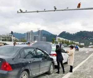 Nhìn nhầm mông khỉ là… đèn đỏ, người phụ nữ gây tai nạn liên hoàn