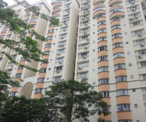 Phạt đến 300 triệu nếu chủ đầu tư tính sai diện tích căn hộ