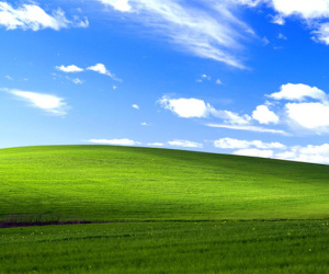 Hình nền Windows XP huyền thoại có giá hơn 100.000 USD