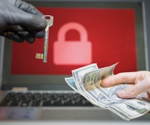 Người dùng Việt Nam mất 12.300 tỷ đồng vì virus máy tính