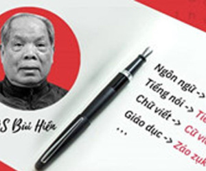 Ảnh minh họa