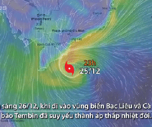 Ảnh minh họa
