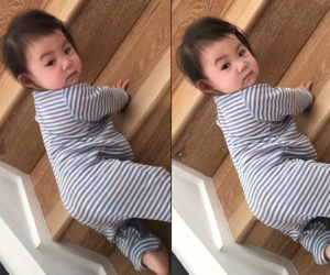 Con gái Trần Quán Hy càng lớn càng bụ bẫm, đáng yêu