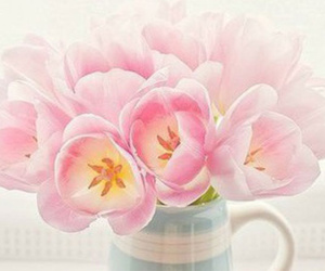 Thứ Năm của bạn (28/12): Bọ Cạp năng lượng dồi dào