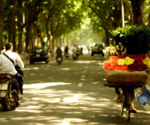 Dự báo thời tiết 12/11: Bão số 13 yếu dần, miền Bắc nắng dịu