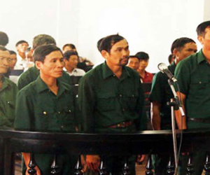 Dọn dẹp rừng, 7 cựu chiến binh bị phạt tù
