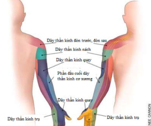 Vì sao ngủ dậy hay bị tê buốt tay?