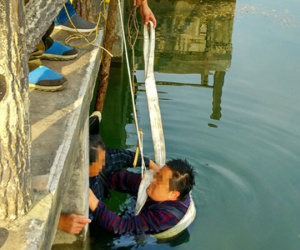 Con hơn 100kg ngã xuống hồ, cha già ngâm mình suốt 20 phút đỡ