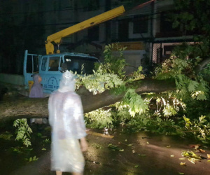 TP.HCM mưa lớn trước bão số 14, đường ngập, cây đổ