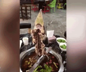 Hãi hùng cảnh cá bị rút xương 'ngoe nguẩy' trên nồi lẩu