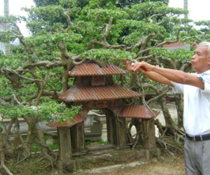 Kiệt tác sanh 'Phố cổ Hà Nội' giá tỷ đồng chưa bán đẹp cỡ nào?