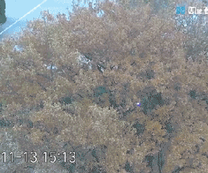 Video: Vụ đào tẩu kịch tính của binh sỹ Triều Tiên vừa được tiết lộ