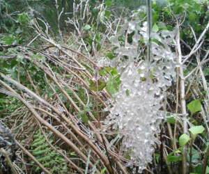 Không khí lạnh liên tục tăng cường, Fansipan có thể xuất hiện băng giá